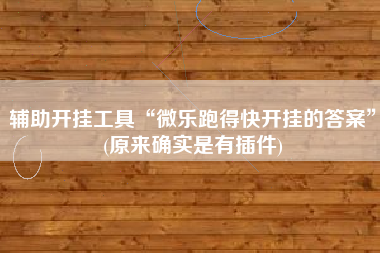 辅助开挂工具“微乐跑得快开挂的答案”(原来确实是有插件)