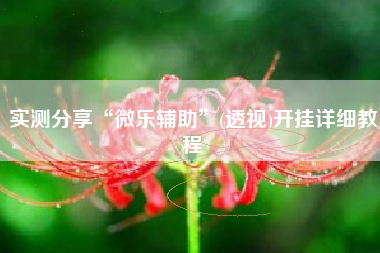 实测分享“微乐辅助	”(透视)开挂详细教程