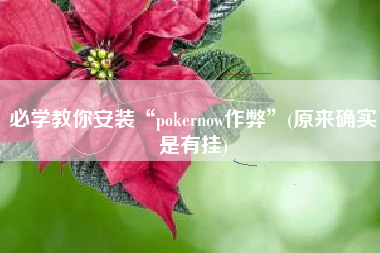 必学教你安装“pokernow作弊”(原来确实是有挂)
