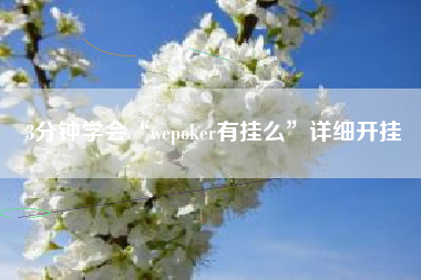 3分钟学会“wepoker有挂么”详细开挂