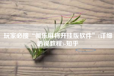 玩家必搜“微乐麻将开挂版软件”(详细透视教程)-知乎