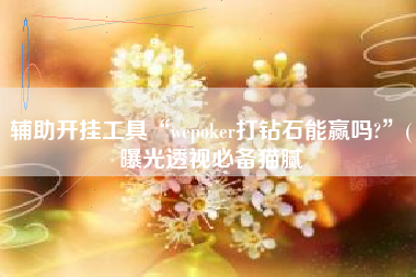 辅助开挂工具“wepoker打钻石能赢吗?”(曝光透视必备猫腻