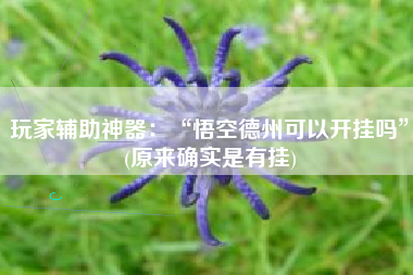 玩家辅助神器：“悟空德州可以开挂吗”(原来确实是有挂)