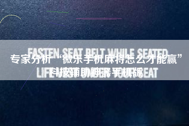 专家分析“微乐手机麻将怎么才能赢”科技辅助神器手机版