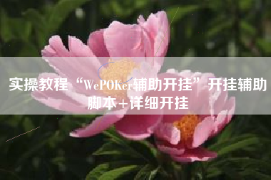实操教程“WePOKer辅助开挂”开挂辅助脚本+详细开挂