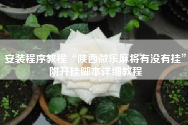 安装程序教程“陕西微乐麻将有没有挂	”附开挂脚本详细教程