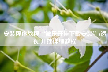 安装程序教程“微乐开挂下载安装”(透视)开挂详细教程