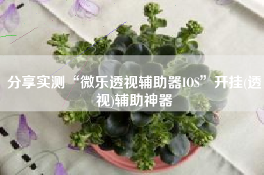 分享实测“微乐透视辅助器IOS	”开挂(透视)辅助神器