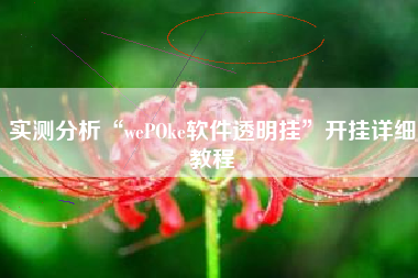 实测分析“wePOke软件透明挂	”开挂详细教程
