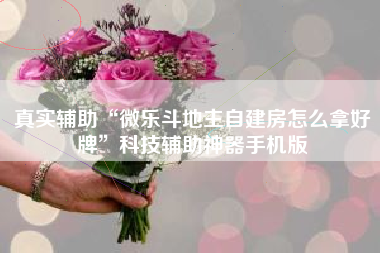 真实辅助“微乐斗地主自建房怎么拿好牌”科技辅助神器手机版
