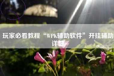 玩家必看教程“WPK辅助软件”开挂辅助详细