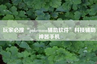 玩家必搜“pokemmo辅助软件	”科技辅助神器手机