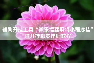 辅助开挂工具“微乐福建麻将小程序挂	”附开挂脚本详细教程