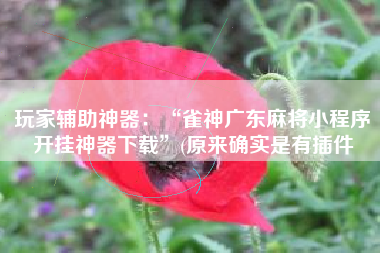 玩家辅助神器：“雀神广东麻将小程序开挂神器下载	”(原来确实是有插件