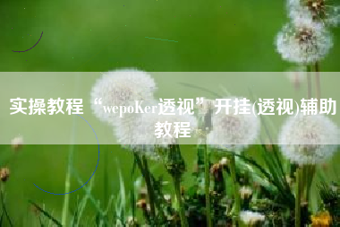 实操教程“wepoKer透视	”开挂(透视)辅助教程