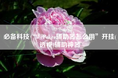 必备科技“WePoker辅助器怎么用	”开挂(透视)辅助神器