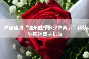 教程辅助“德州胜率多少算高手”科技辅助神器手机版