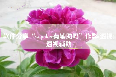 软件分享“wepoker有辅助吗”作弊(透视)透视辅助