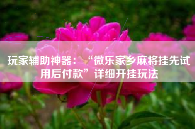 玩家辅助神器：“微乐家乡麻将挂先试用后付款”详细开挂玩法