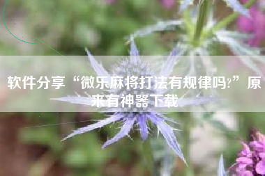 软件分享“微乐麻将打法有规律吗?”原来有神器下载