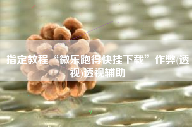 指定教程“微乐跑得快挂下载	”作弊(透视)透视辅助