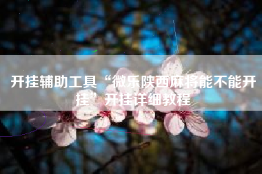 开挂辅助工具“微乐陕西麻将能不能开挂	”开挂详细教程