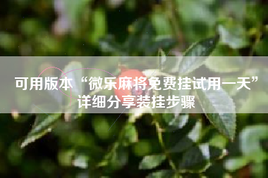可用版本“微乐麻将免费挂试用一天”详细分享装挂步骤