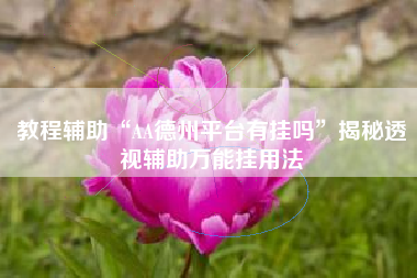 教程辅助“AA德州平台有挂吗”揭秘透视辅助万能挂用法