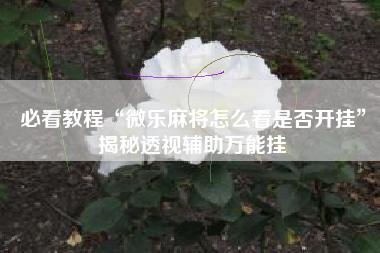 必看教程“微乐麻将怎么看是否开挂	”揭秘透视辅助万能挂