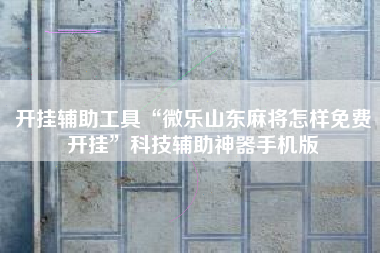 开挂辅助工具“微乐山东麻将怎样免费开挂”科技辅助神器手机版