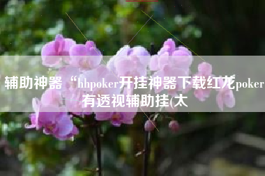 辅助神器“hhpoker开挂神器下载红龙poker有透视辅助挂(太