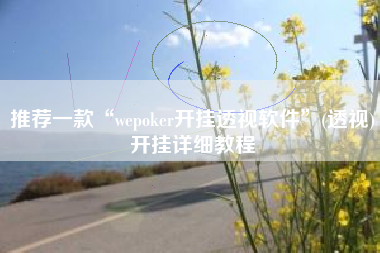 推荐一款“wepoker开挂透视软件”(透视)开挂详细教程