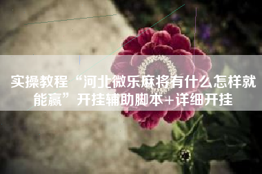 实操教程“河北微乐麻将有什么怎样就能赢”开挂辅助脚本+详细开挂