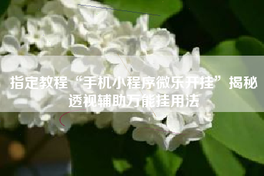 指定教程“手机小程序微乐开挂”揭秘透视辅助万能挂用法