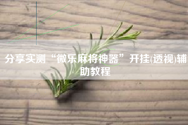 分享实测“微乐麻将神器	”开挂(透视)辅助教程