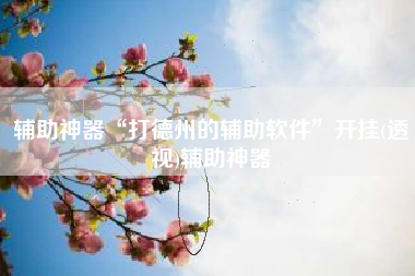 辅助神器“打德州的辅助软件	”开挂(透视)辅助神器