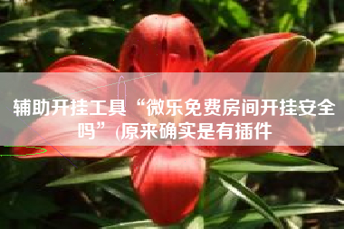 辅助开挂工具“微乐免费房间开挂安全吗	”(原来确实是有插件