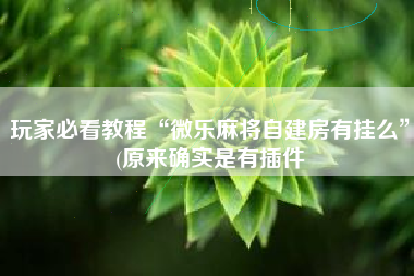 玩家必看教程“微乐麻将自建房有挂么	”(原来确实是有插件