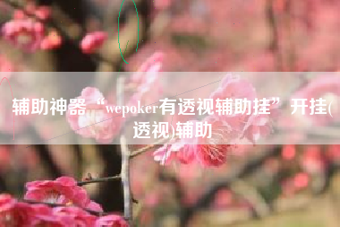 辅助神器“wepoker有透视辅助挂	”开挂(透视)辅助