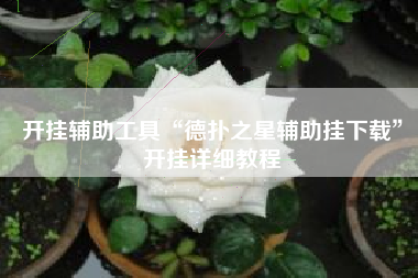 开挂辅助工具“德扑之星辅助挂下载	”开挂详细教程