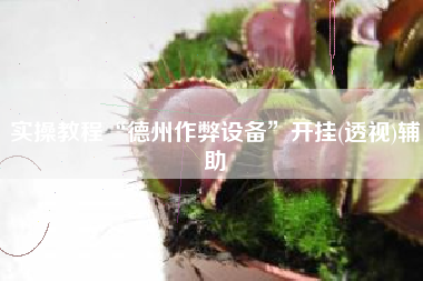 实操教程“德州作弊设备”开挂(透视)辅助