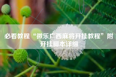 必看教程“微乐广西麻将开挂教程”附开挂脚本详细