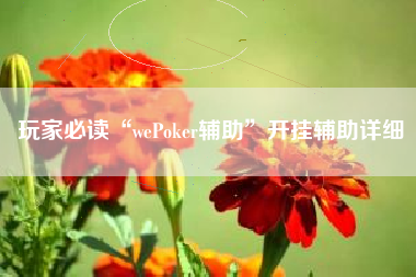玩家必读“wePoker辅助”开挂辅助详细