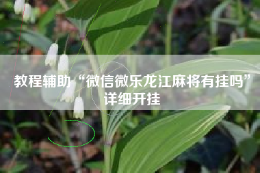 教程辅助“微信微乐龙江麻将有挂吗”详细开挂