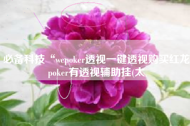 必备科技“wepoker透视一键透视购买红龙poker有透视辅助挂(太