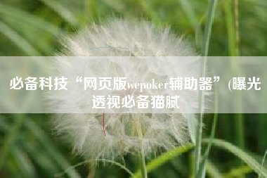 必备科技“网页版wepoker辅助器	”(曝光透视必备猫腻