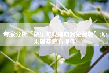 专家分析“微乐游戏辅助器免费版”(原来确实是有插件)