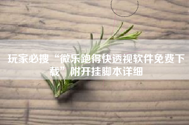 玩家必搜“微乐跑得快透视软件免费下载	”附开挂脚本详细