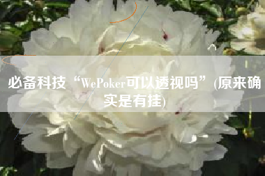 必备科技“WePoker可以透视吗	”(原来确实是有挂)