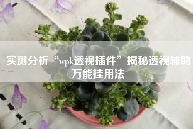 实测分析“wpk透视插件	”揭秘透视辅助万能挂用法